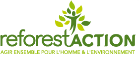 reforestaction